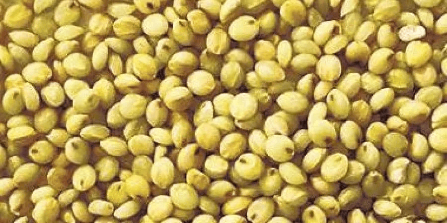 The Best of  Browntop